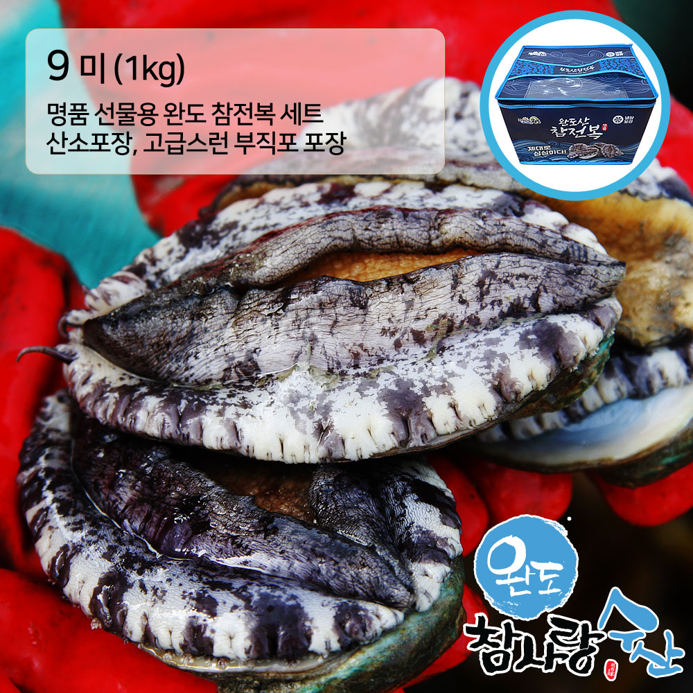 완도참사랑수산 名品 참전복 - 9미 1KG ( 9마리 )