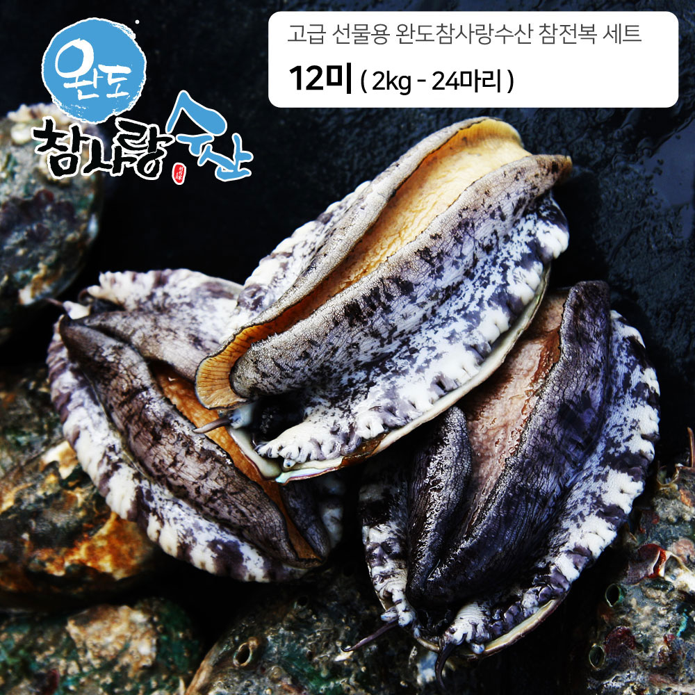 완도참사랑수산 고급 참전복 - 12미 2KG ( 24마리 )